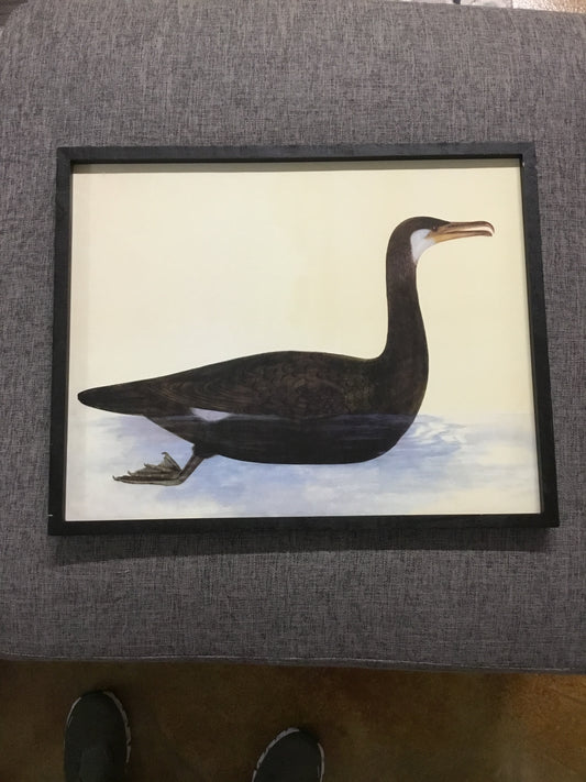 Df4047-Cc Framed Wall Decor Vintage Reproduction Bird