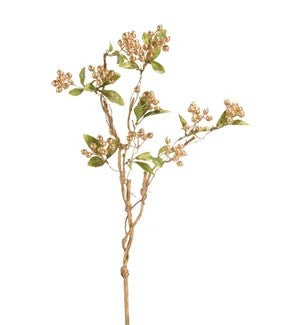 Berry Branch 27"