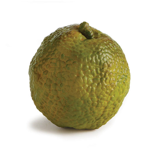 CC305 Hedge Apple 4.5"