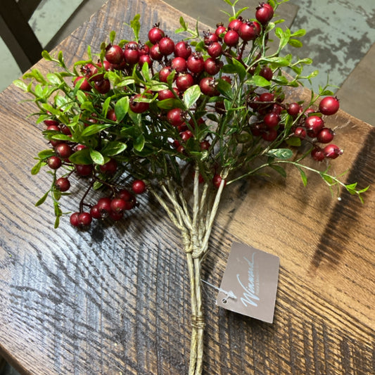6 XF062205 Berry Pick