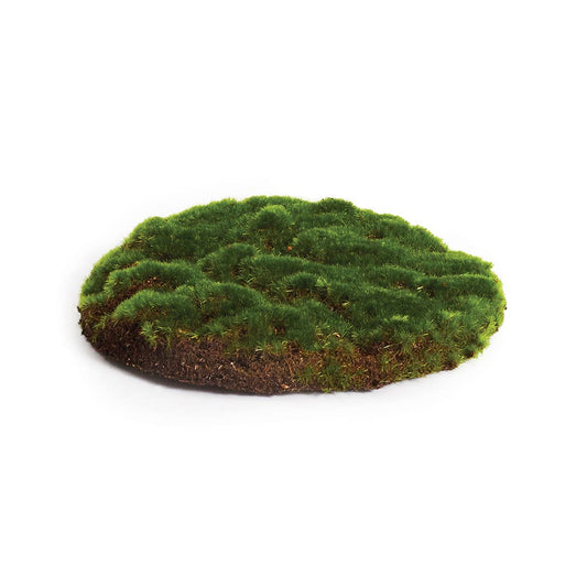 NJ221 Moss Sheet Round 8"