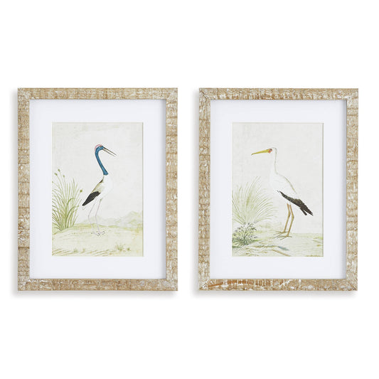 NNH543 Wading Bird Print