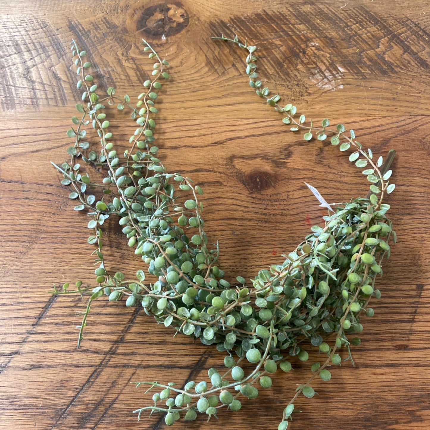 Large hanging artificial necklace fern