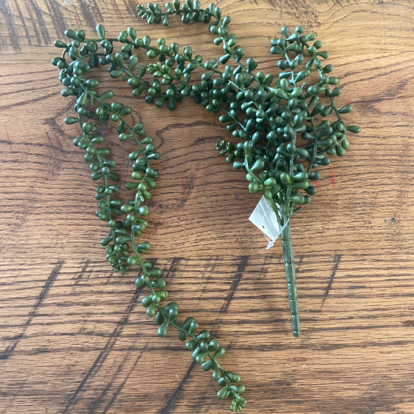Artificial necklace fern succulent