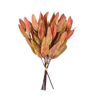 Eucalyptus Bouquet              (25)