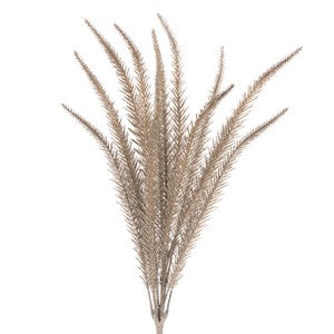 6 24" Fern Champagne