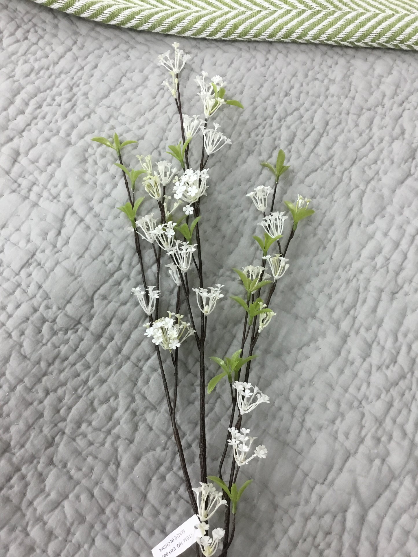 Eby00356 Parkhill Spirea Stem