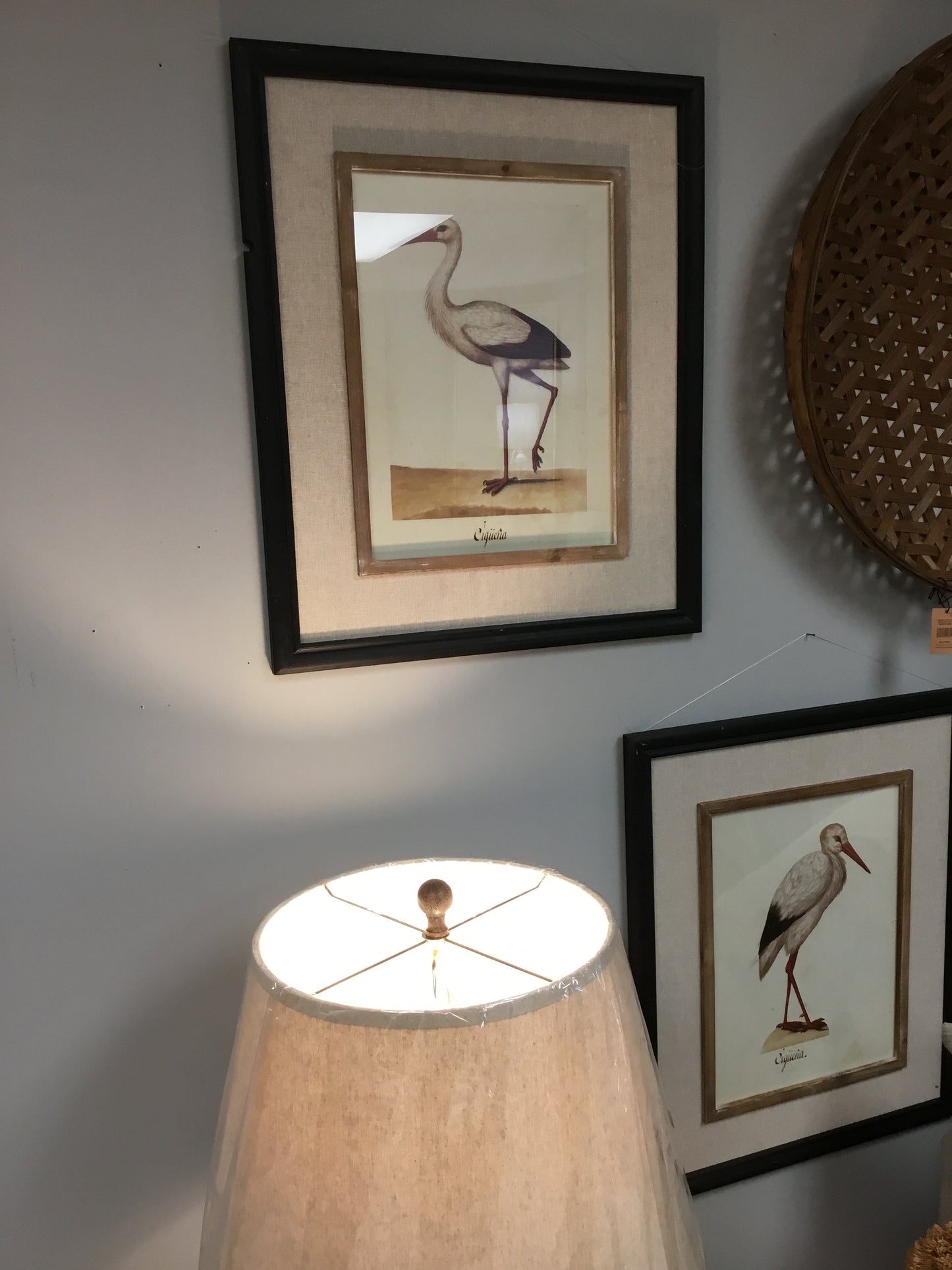 Ewa26086  Coastal Heron Prints PH
