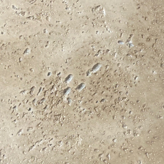 Cement Scallop Tray