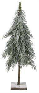 6 21" Juniper Tree      (25)