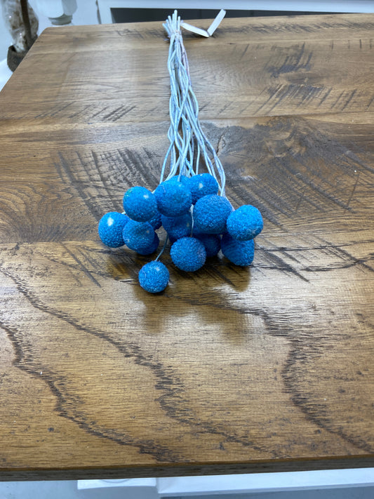 Blue Craspedia  1.75 Oz Bunch - copy