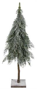 6 26" Juniper Tree        (25)