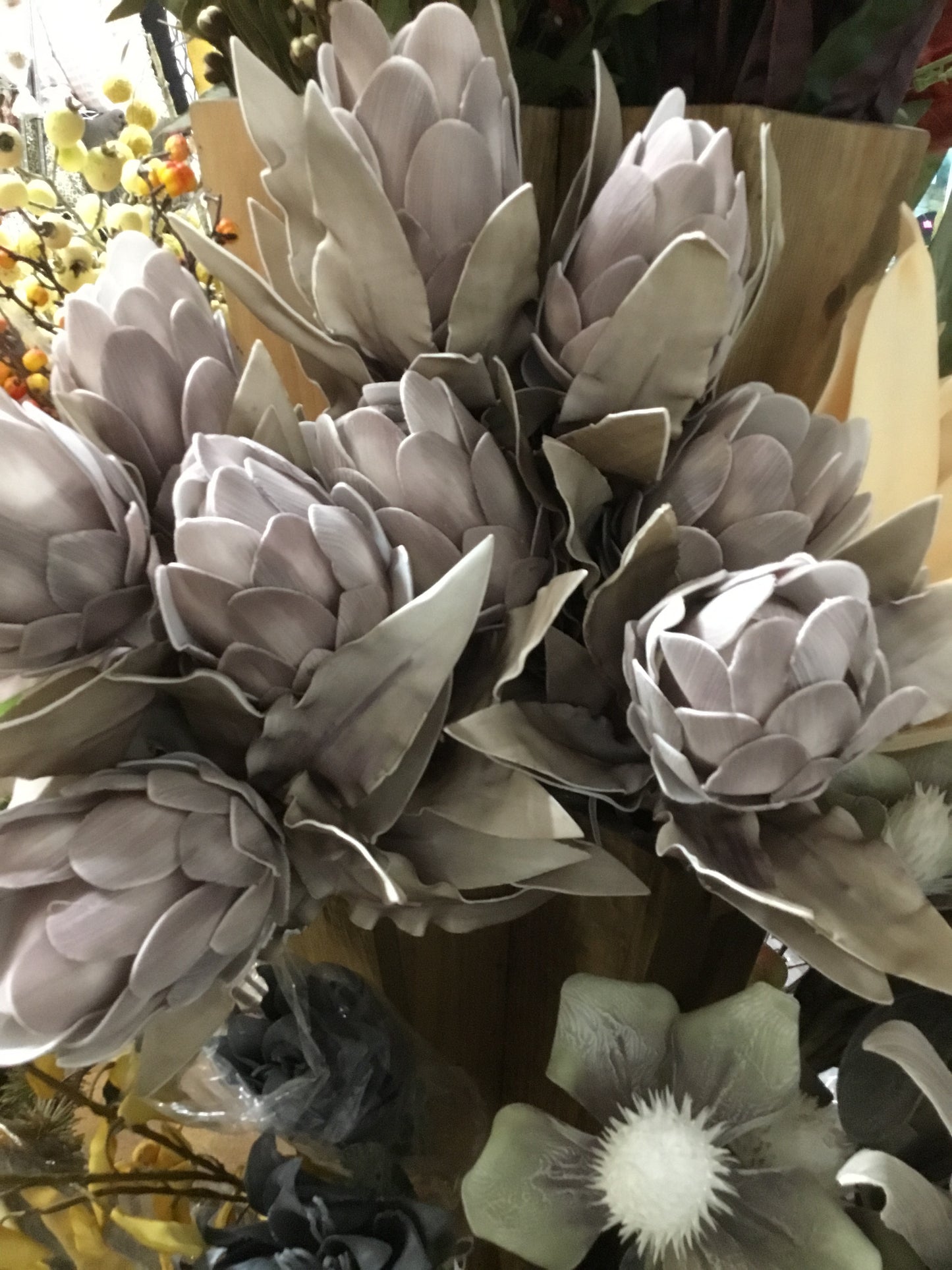 Csl2561 Botanica