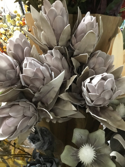 Csl2561 Botanica