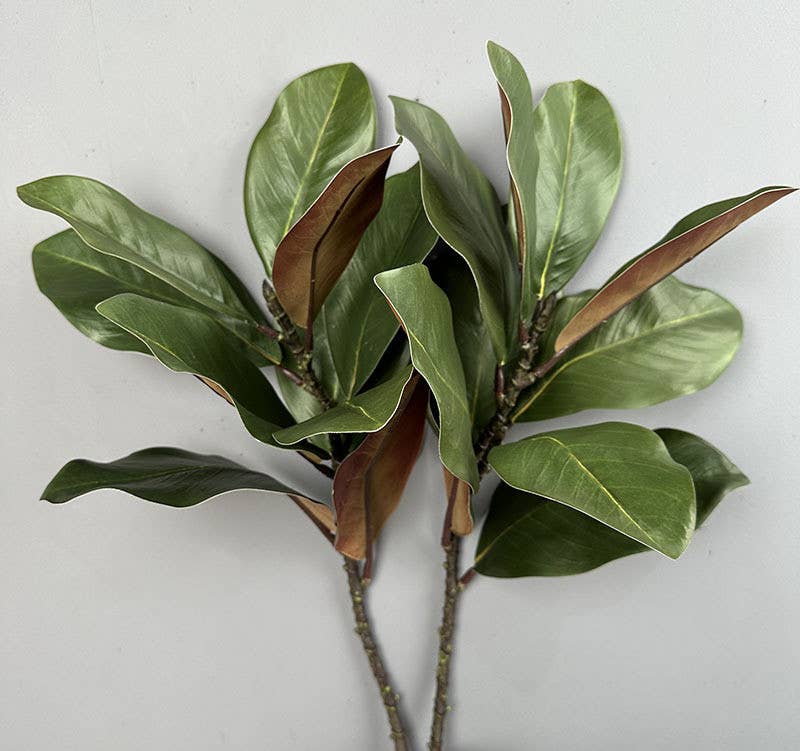 22''T Nature Touch Faux Magnolia Leaf Branch, Indoor/Ourdoor: Green