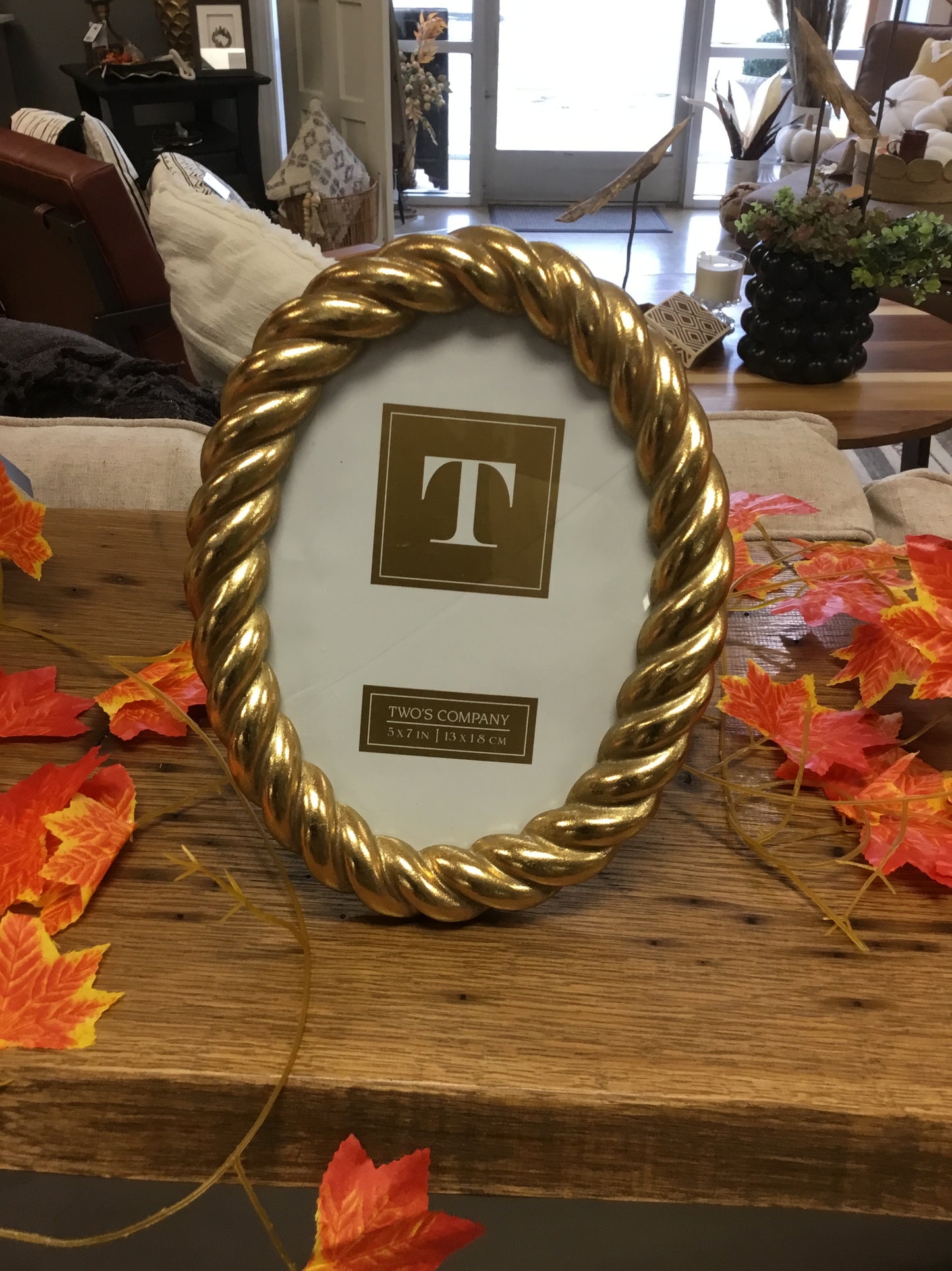 Gold Gilded Rope Frame