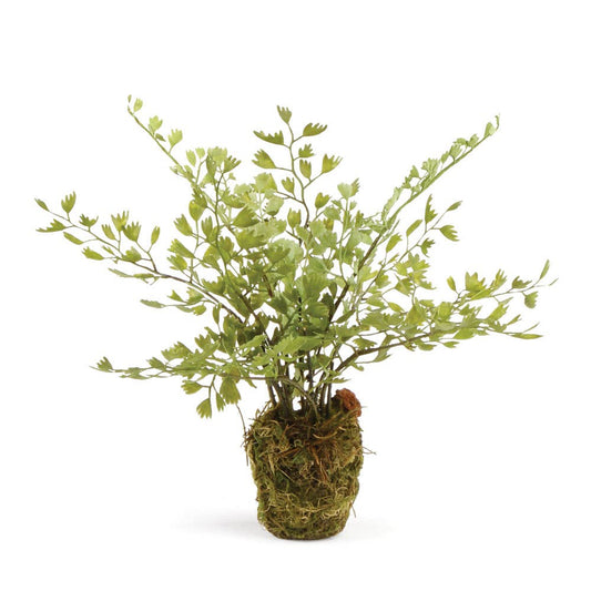 DI3000 Maidenhair Drop-In 9"