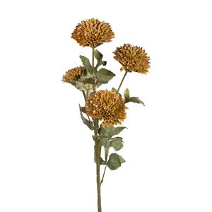 Rose Dahlia x 4 Rose.             25