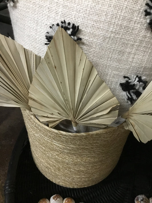 06288 Fan