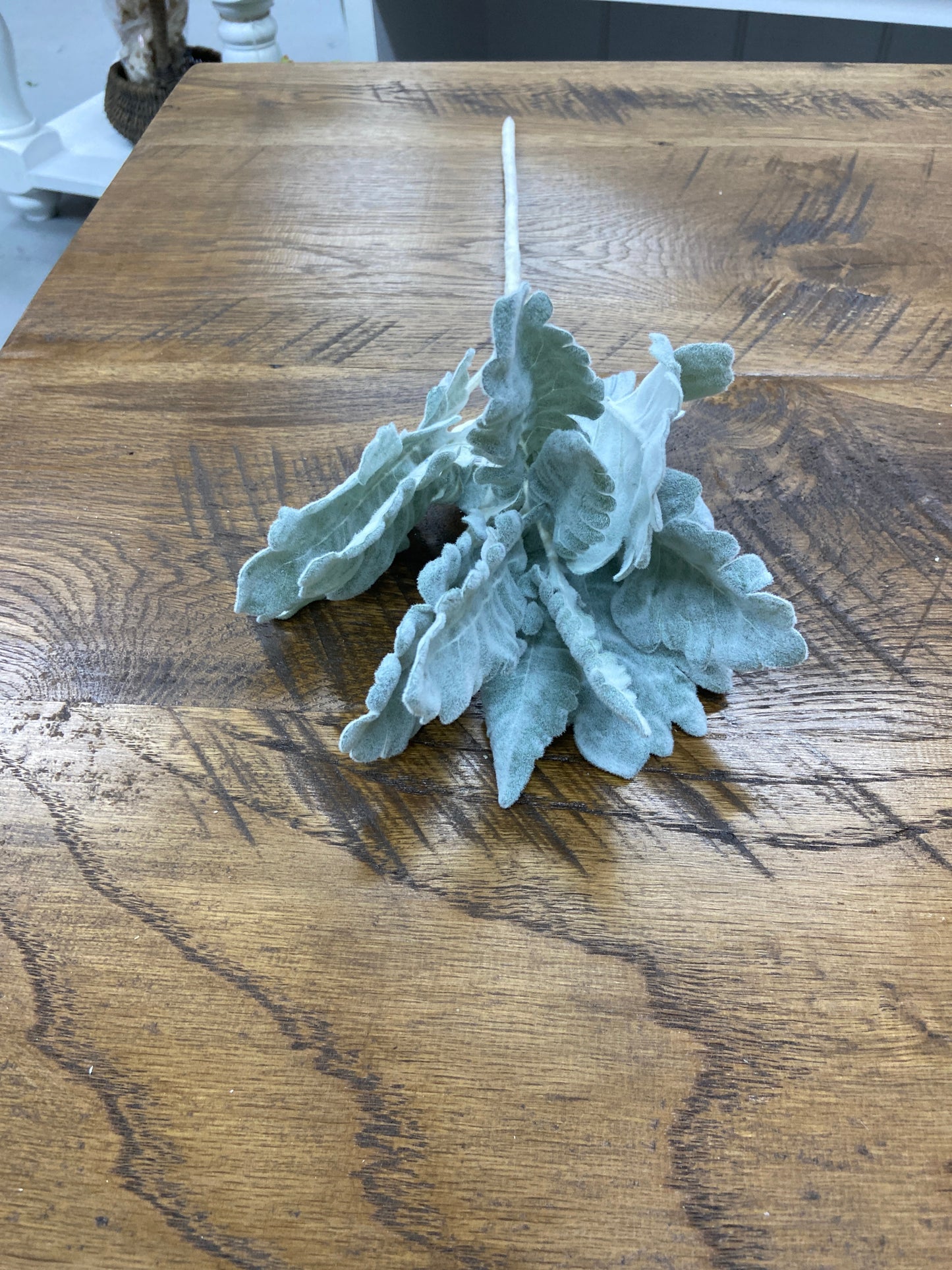 3214 17" Green Dusty Miller Spray