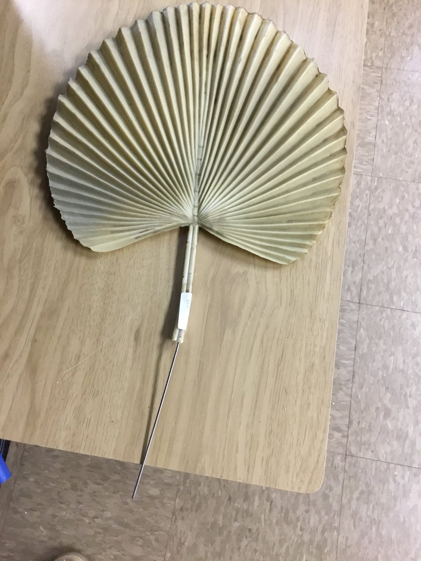 06286 Fan