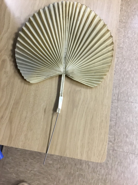 06286 Fan