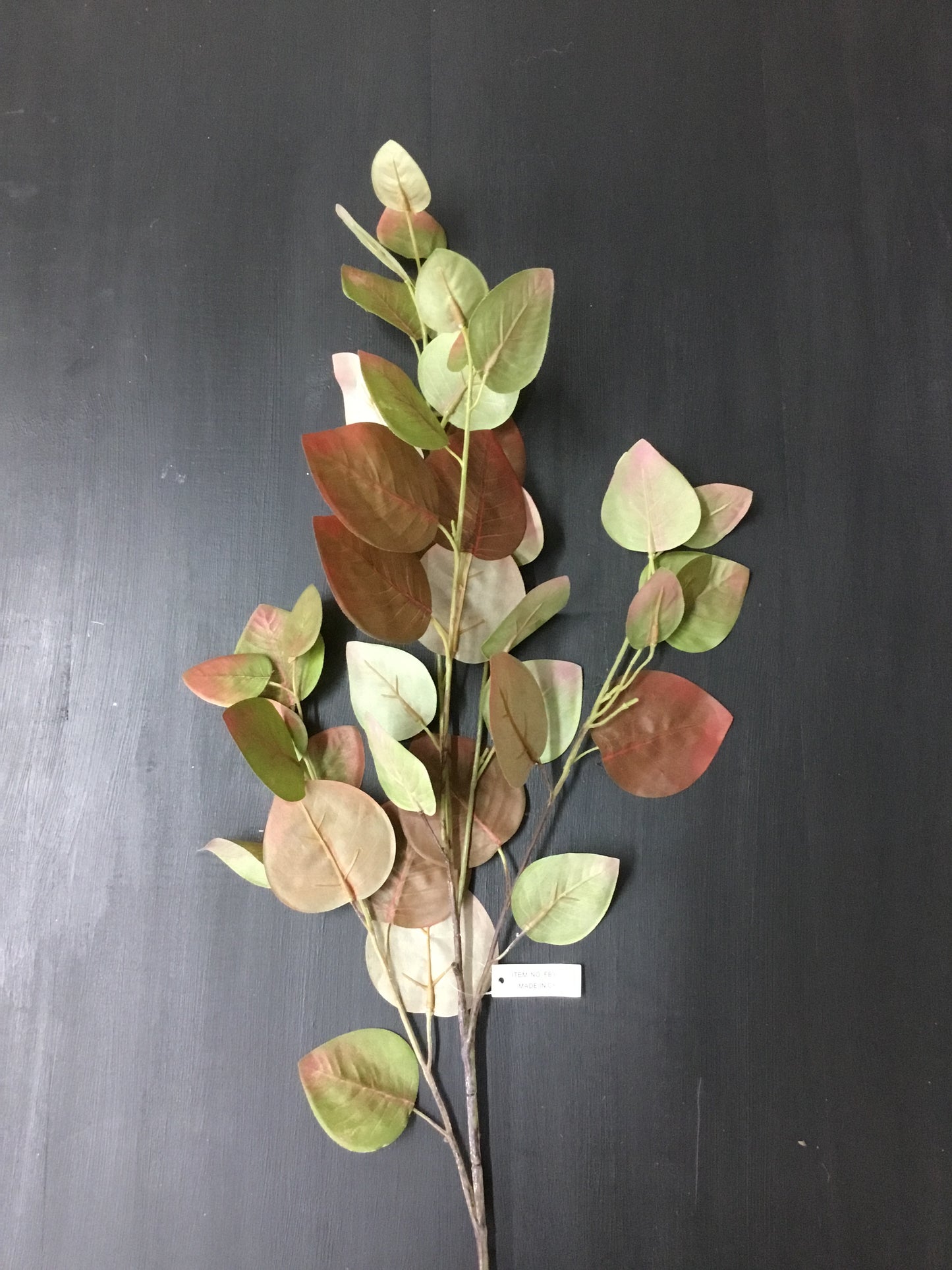 Fby00315-Phc Red Bud Leaf Spray