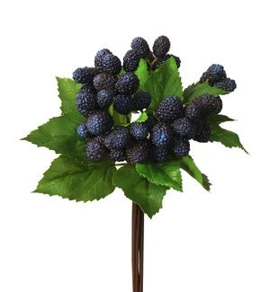 Mulberry Bunch 11"      (25)