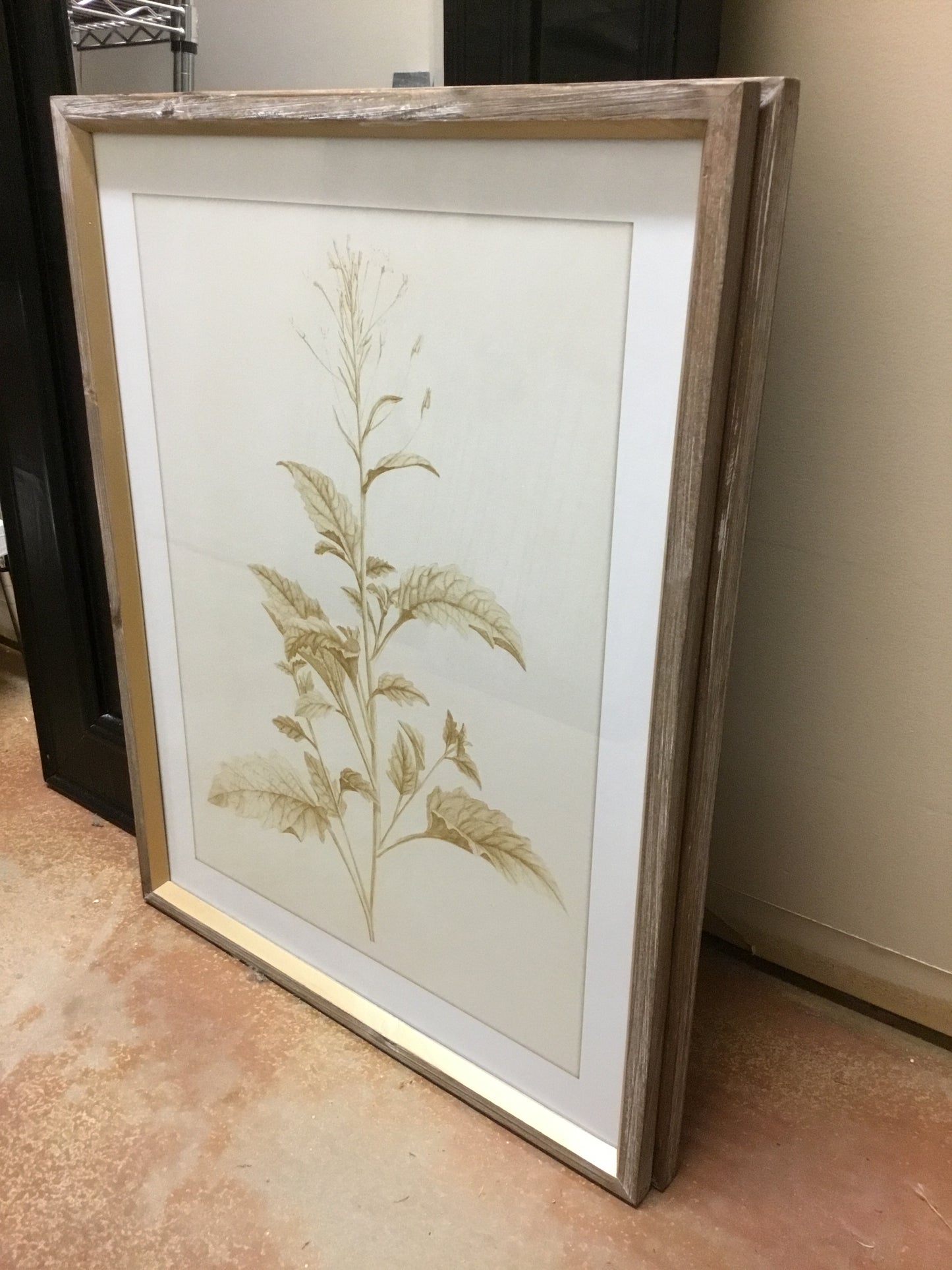 Ewa20246-Phc Sepia Botanical Framed Print
