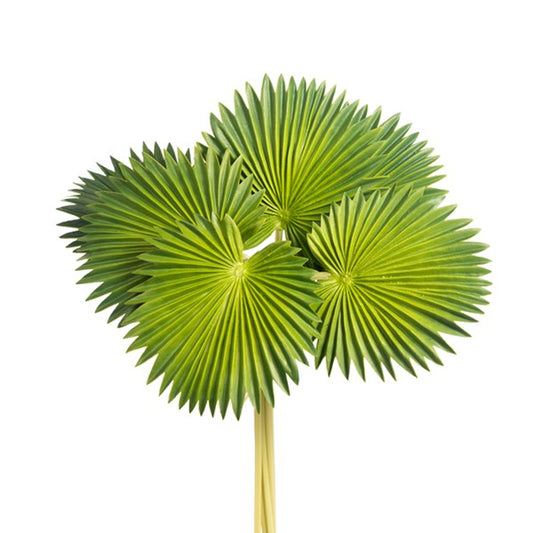 17" Palm     (25)