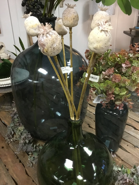 Fby20105-Phc Poppy Pod Bundle Of 3