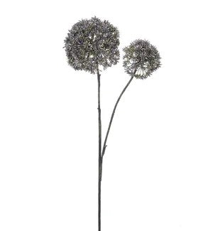 Sedum Spray        (25)