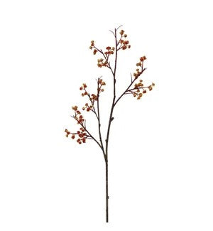Bittersweet Berry Branch       (25