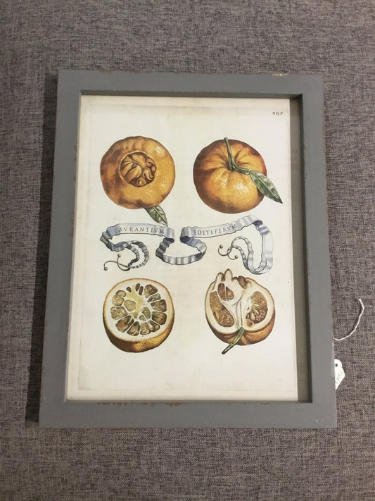 Ewa90020-Phc Framed Citrus And Ribbon Print