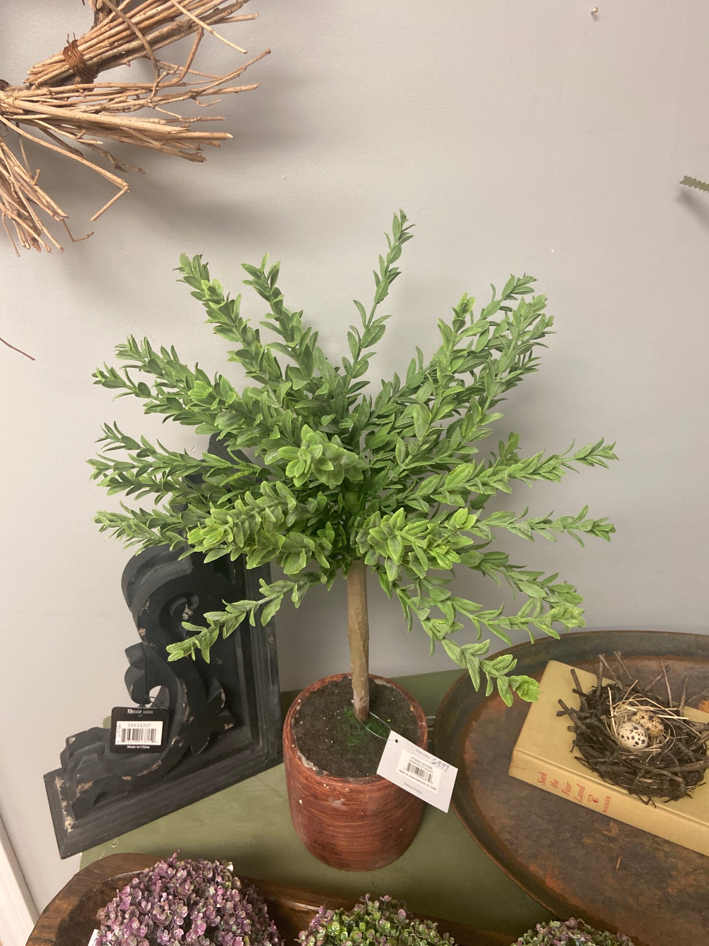 P3003 Boxwood Potted 22"     (25)