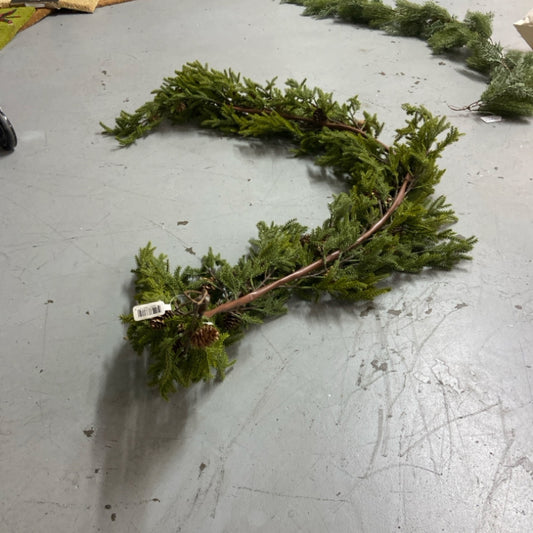 6 66" Colorado Spruce