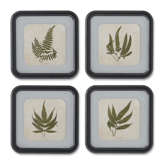 11.75" Square Black Wood Rounded Framed Fern Print    (25)