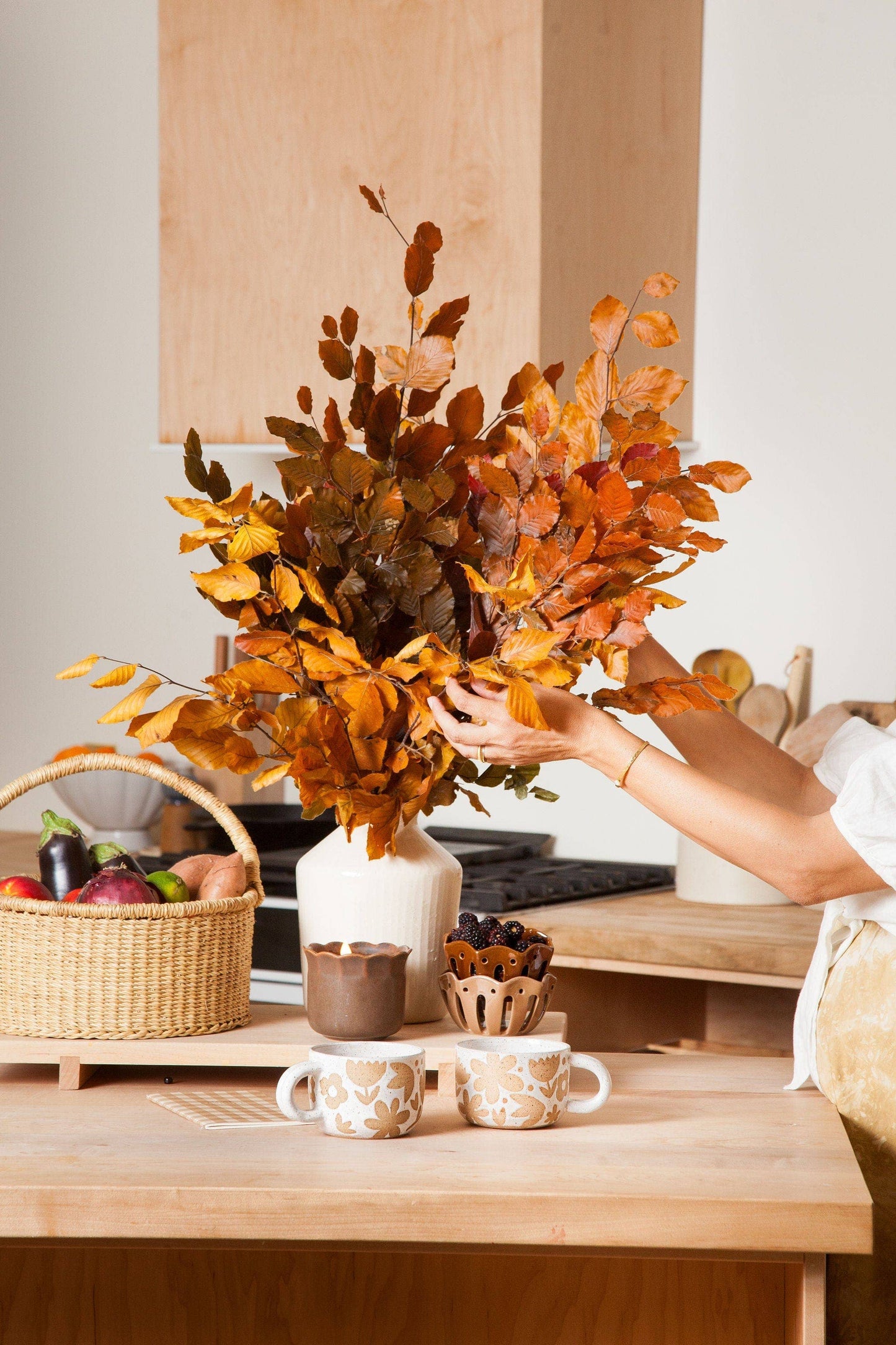 Preserved Copper Beech        (25)