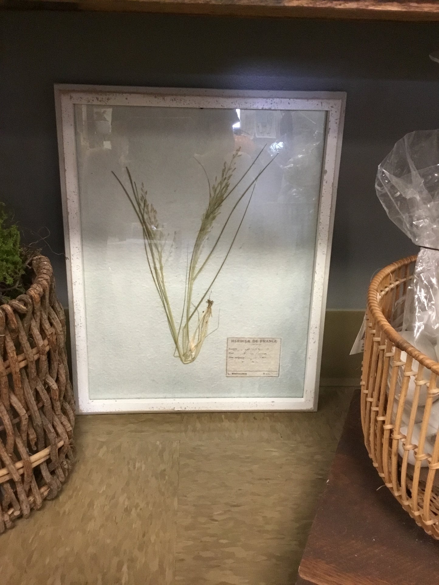 Df6259A Wood Wall Plaque /w Plant