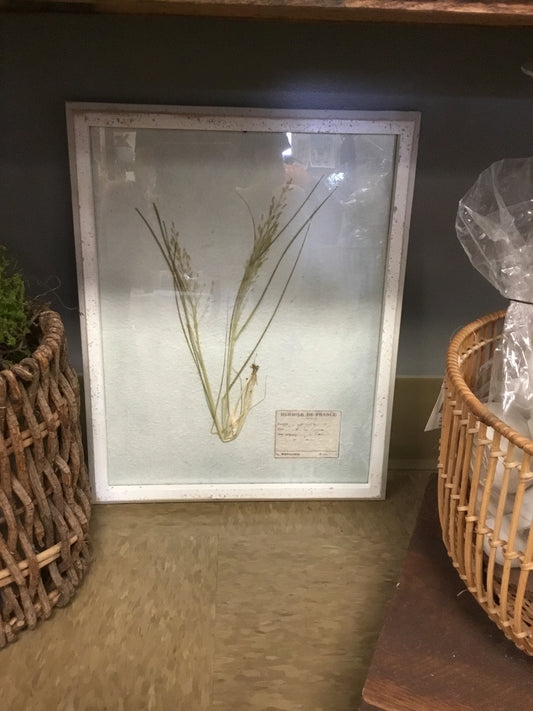 Df6259A Wood Wall Plaque /w Plant