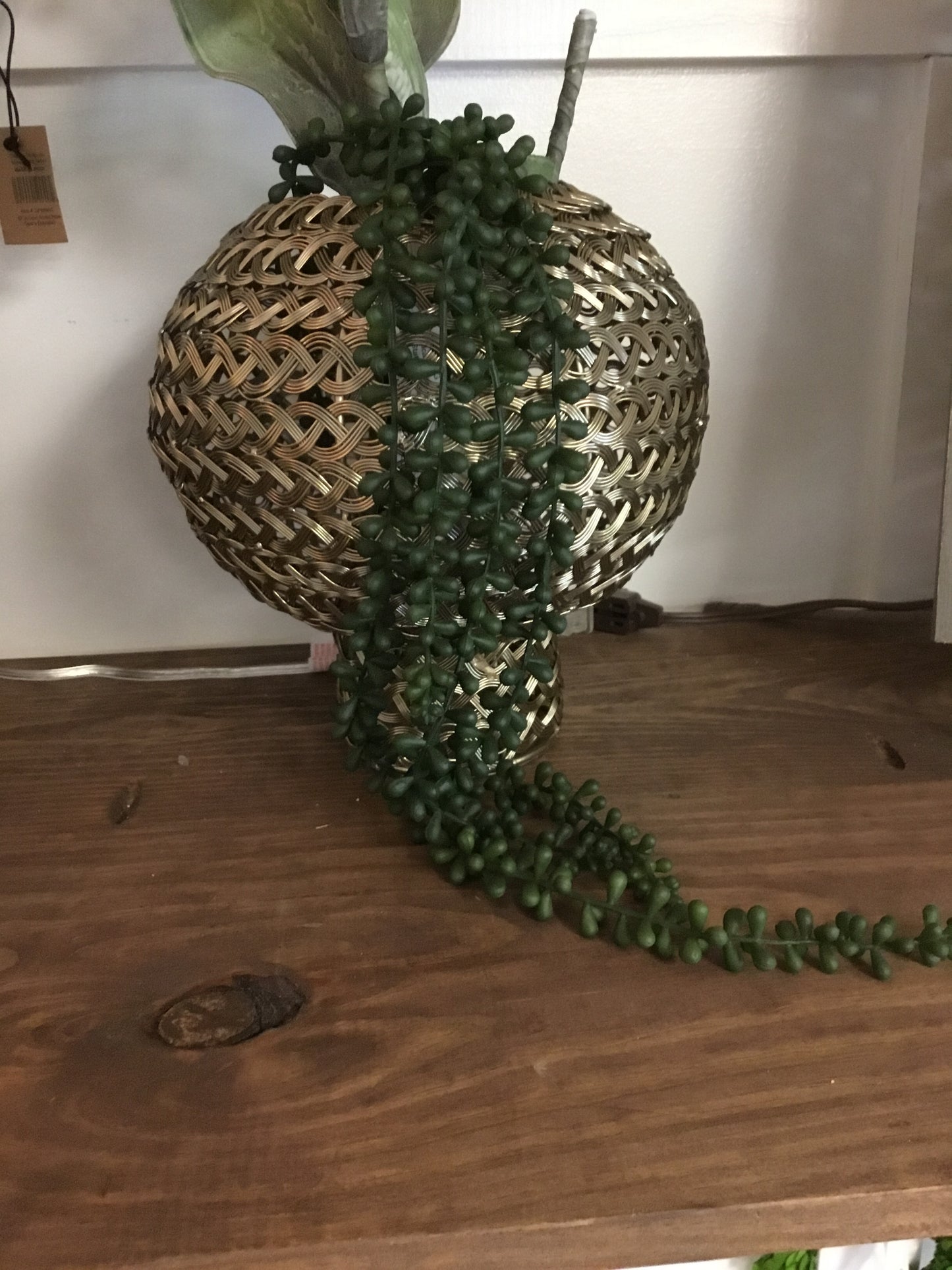 Cyf1083 Kal Succulent