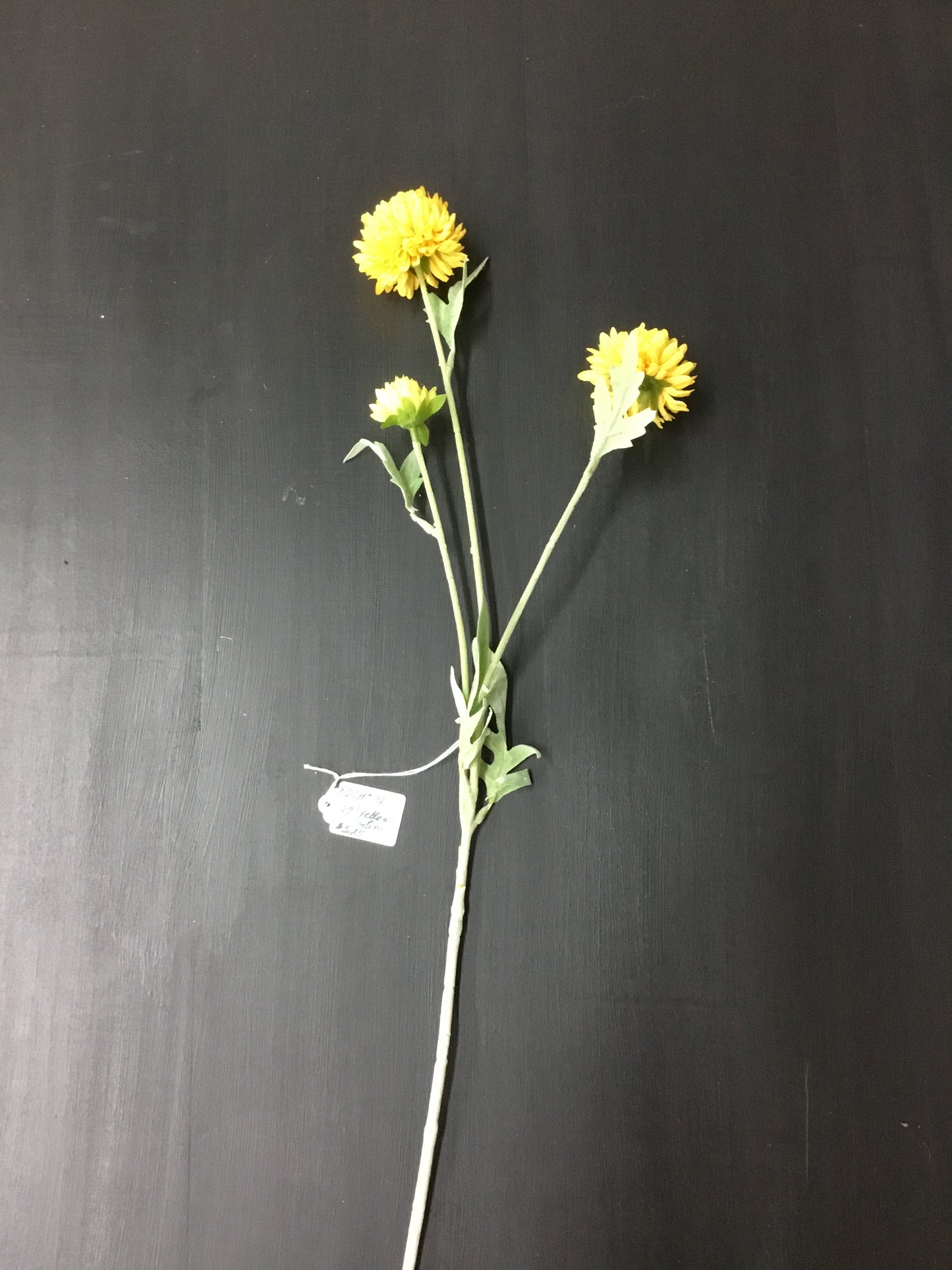 Pdch032 27" Yellow