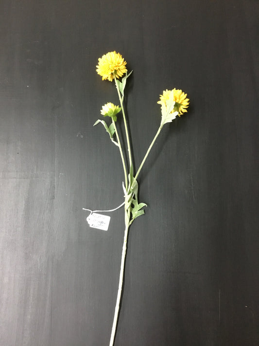 Pdch032 27" Yellow