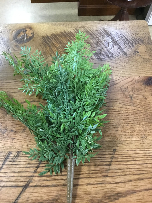 Dc20923gr Fern Bush