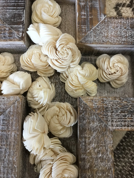 Ntrp1020-Kal Bag Of 16 Dried Shell Flowers