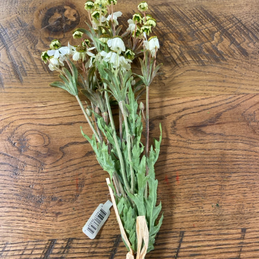 6 F5-7627 29" black eyed Susan bundle cream