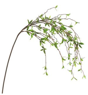 Pomegranate Leaf Spray 55"    (25)