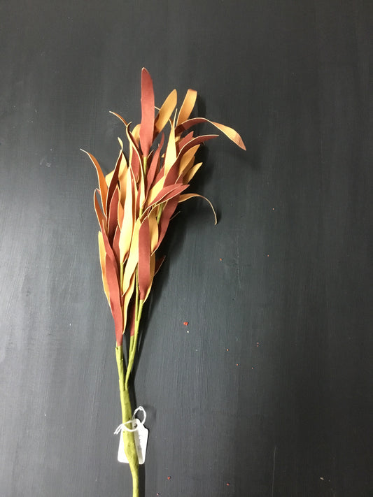 17379728-Jn Orange Stem