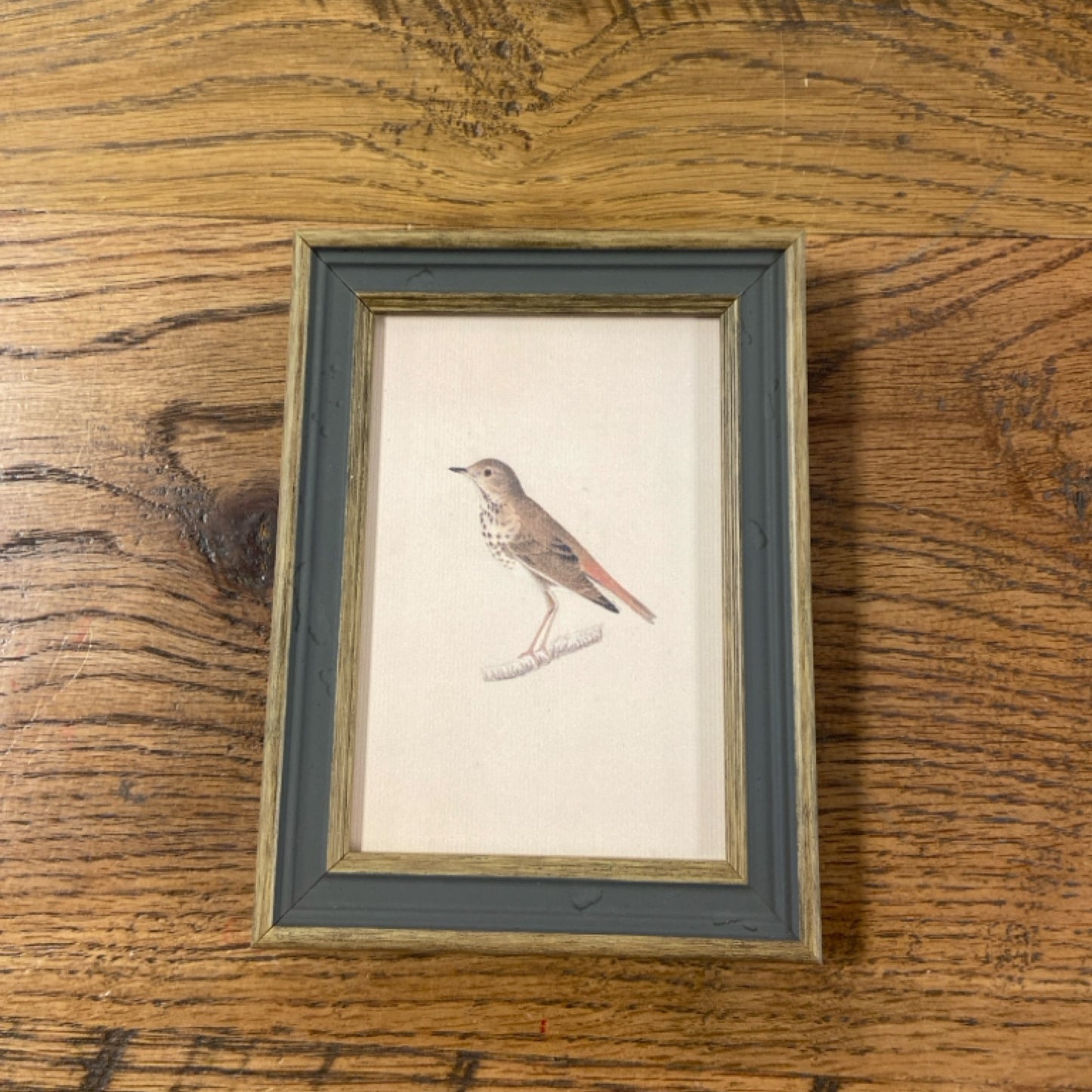 6 Bird Print