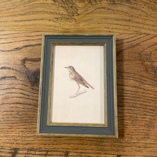 6 Bird Print